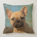 Search for french bulldog puppy cushions Cute