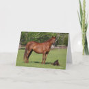 Search for chestnut horse cards Mare