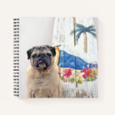 Search for pug notebooks Beach
