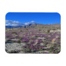 Search for cas magnets Purple