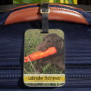 Search for pet luggage tags Vacation