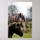 Search for riding horse posters Cute