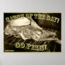 Search for cool fish posters Photography