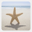 Search for massachusetts usa stickers Outdoors