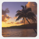 Search for kauai hawaii stickers Usa