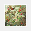 Search for hummingbird napkins Ernst haeckel