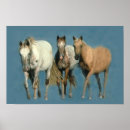 Search for breeder art Foal