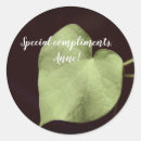 Search for heart leaf stickers Photography