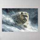 Search for beauty posters Wildlife