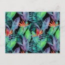 Search for watercolor bird postcards Paradise