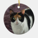 Search for calico cat christmas tree decorations Kitten