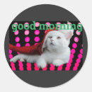 Search for morning stickers Cat