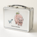 Search for dinosaur lunch boxes Fun