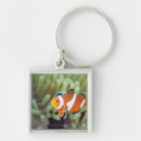 Search for selected square key rings Animals