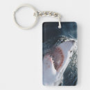 Search for amos key rings Fish