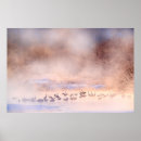 Search for winter scene posters Animal