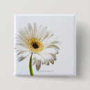 Search for gerbera badges Nature