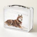 Search for husky lunch boxes Alaskan malamute