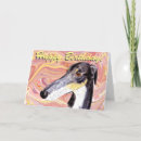 Search for saluki card cards Sighthound