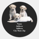 Search for labrador birthday stickers Labs