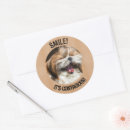 Search for funny dog round stickers Adorable