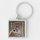 Search for amos key rings Animal