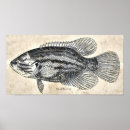 Search for fish digital posters Antique