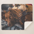 Search for irish blankets Pets