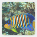 Search for undersea stickers Fish