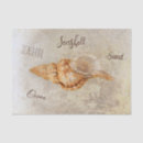 Search for sea shells tissue paper Nautical
