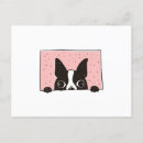 Search for bostons postcards Dogs