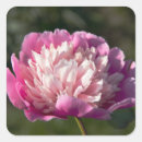 Search for big flower stickers Cute