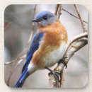 Search for birdwatcher barware Bird lover