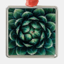Search for spain christmas tree decorations Nature