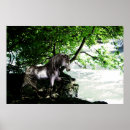 Search for dividable posters For her
