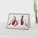 Search for orchid cards Celebration