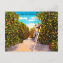 Search for unit of time postcards Travel