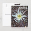 Search for green earth cards Environment