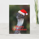 Search for emu christmas cards Funny