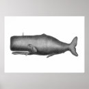 Search for vintage whale posters Retro