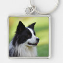 Search for black and white dog key rings Photography