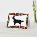 Search for english setter cards Setters