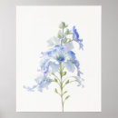 Search for delphinium art Nature