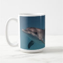 Search for dolphin coffee mugs Grey