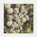 Search for cropland magnets France