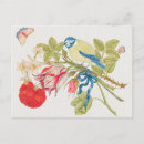 Search for vintage bird illustration postcards Nature