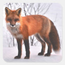 Search for fox stickers Winter