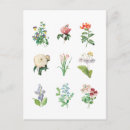 Search for vintage floral postcards Minimalist