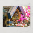 Search for new phone number postcards Cute