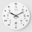 Search for spices clocks Nature